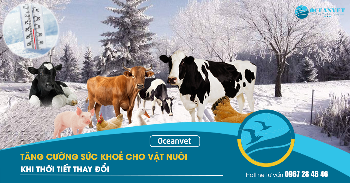 bao-ve-sưc-khoe-vat-nuoi