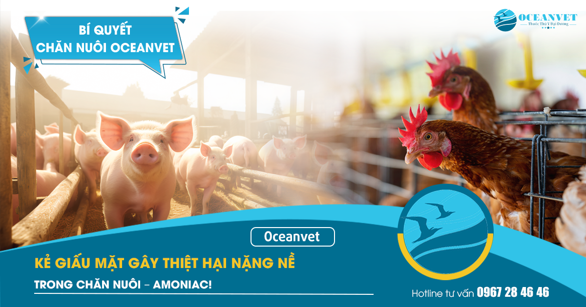 amoniac