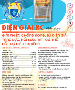 điện giải kc