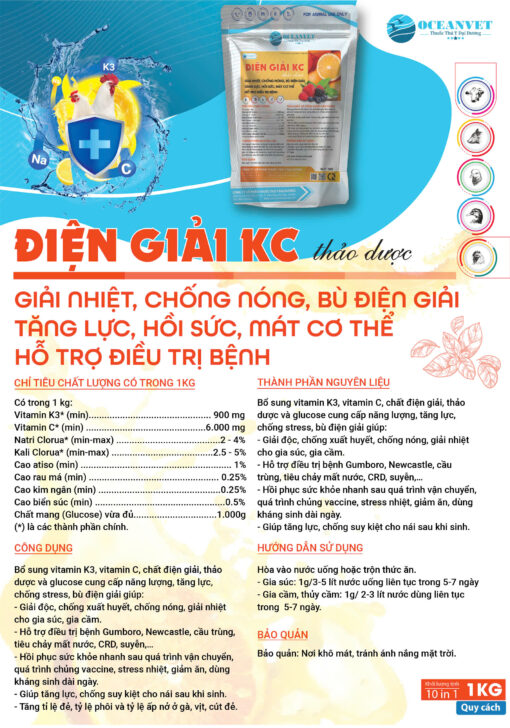 điện giải kc