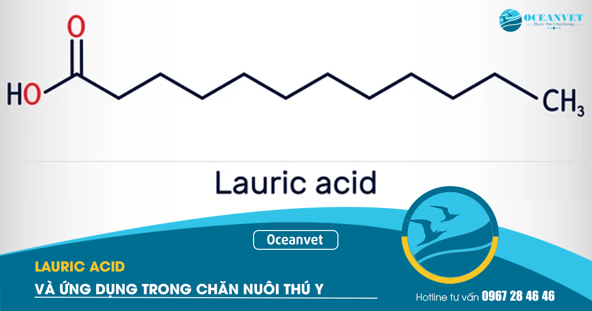 lauric-acid