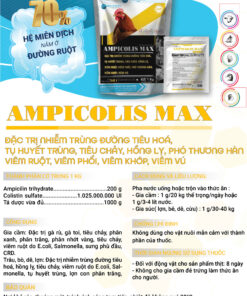 ampicolis max