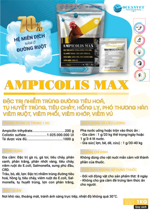ampicolis max