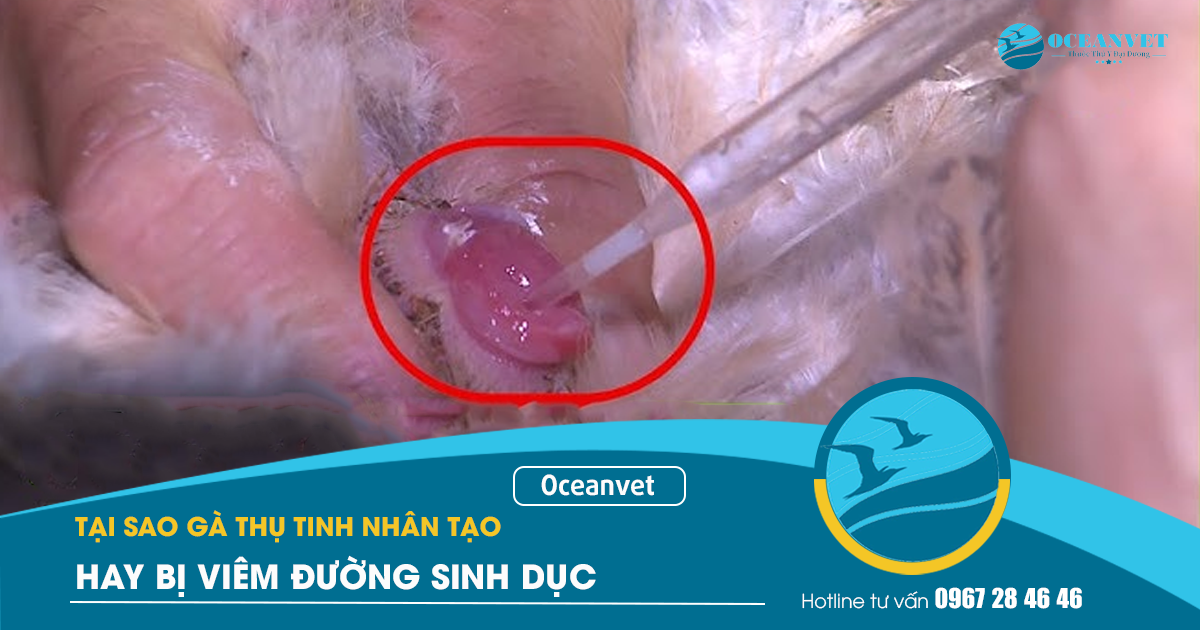 ga-thu-tinh-nhan-tao