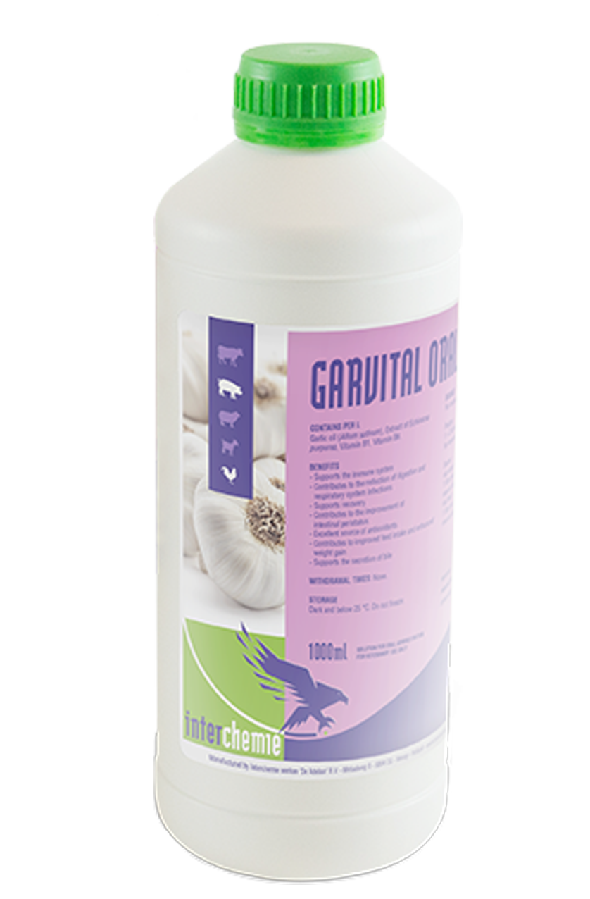 garvital-oral