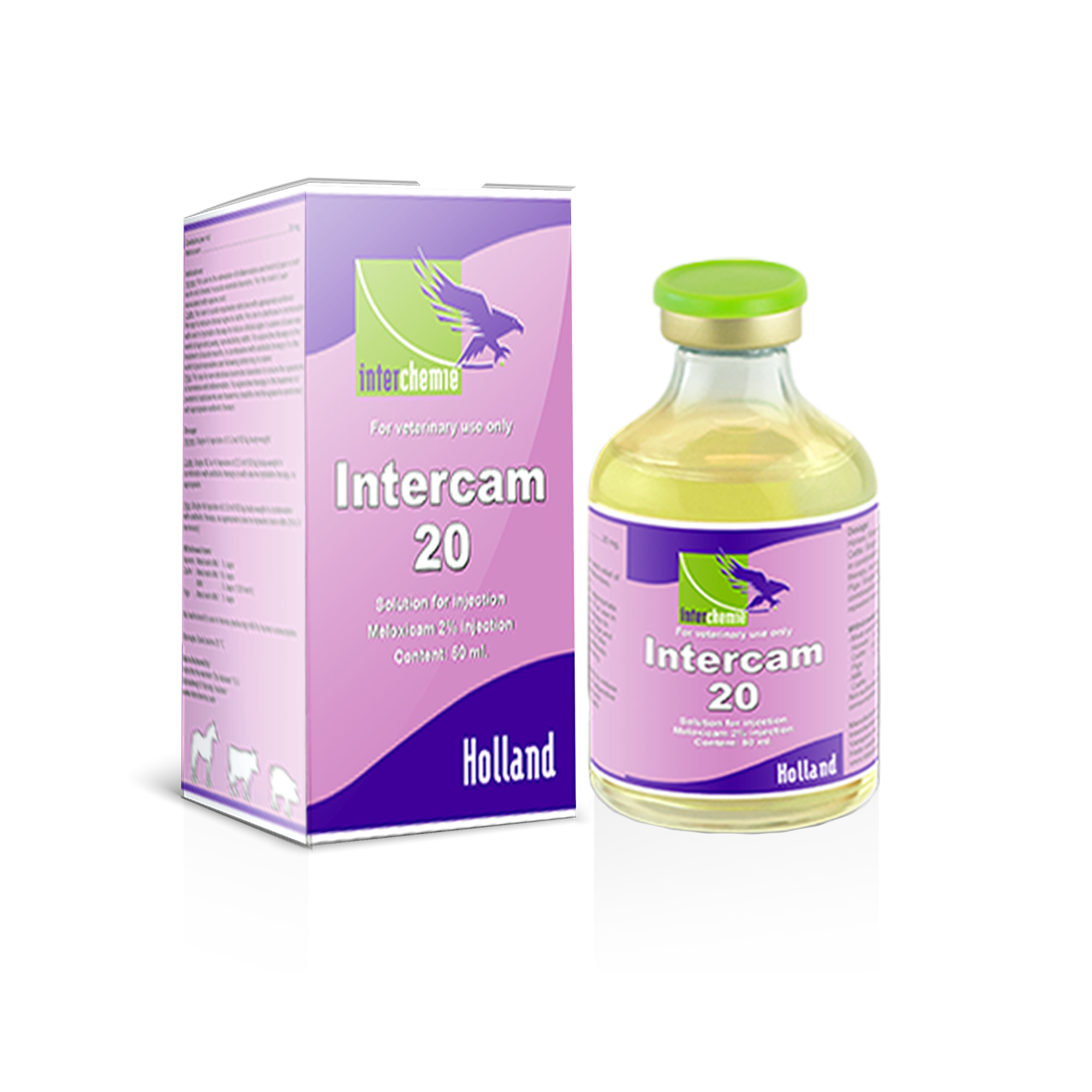 intercam-20