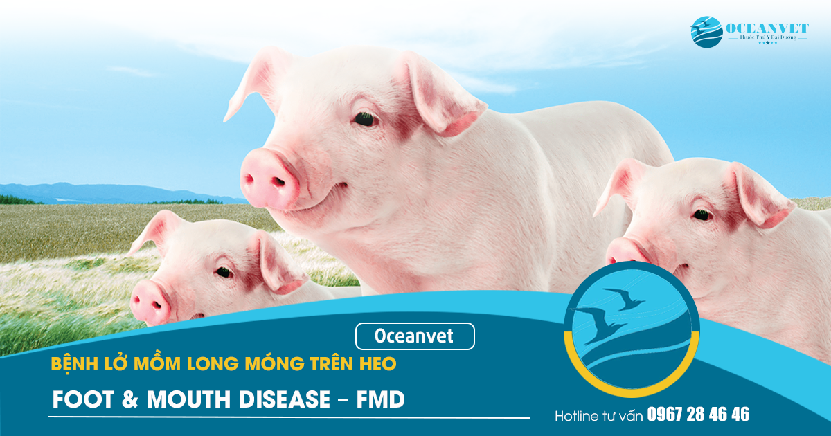 lo-mom-long-mong-heo